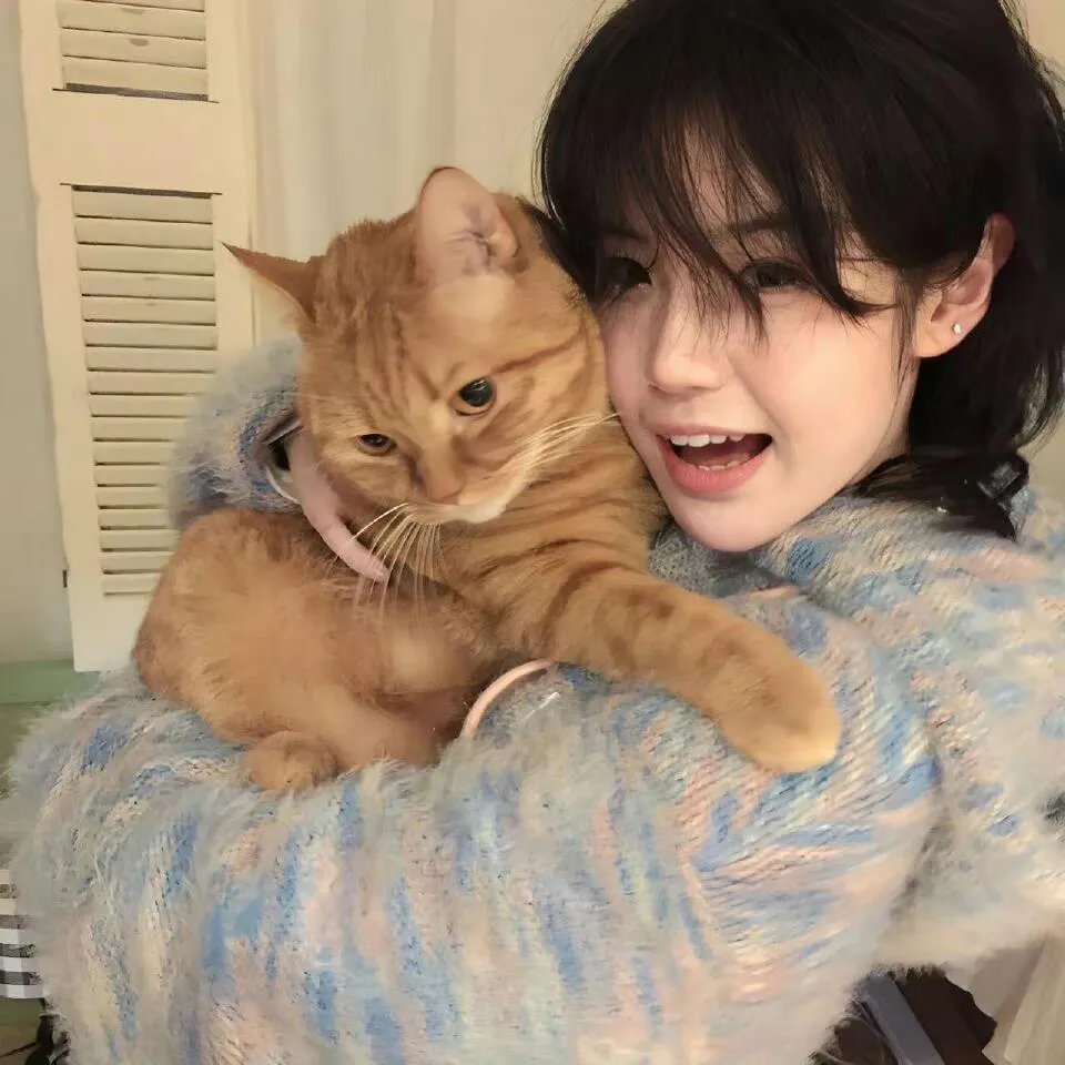 司藤